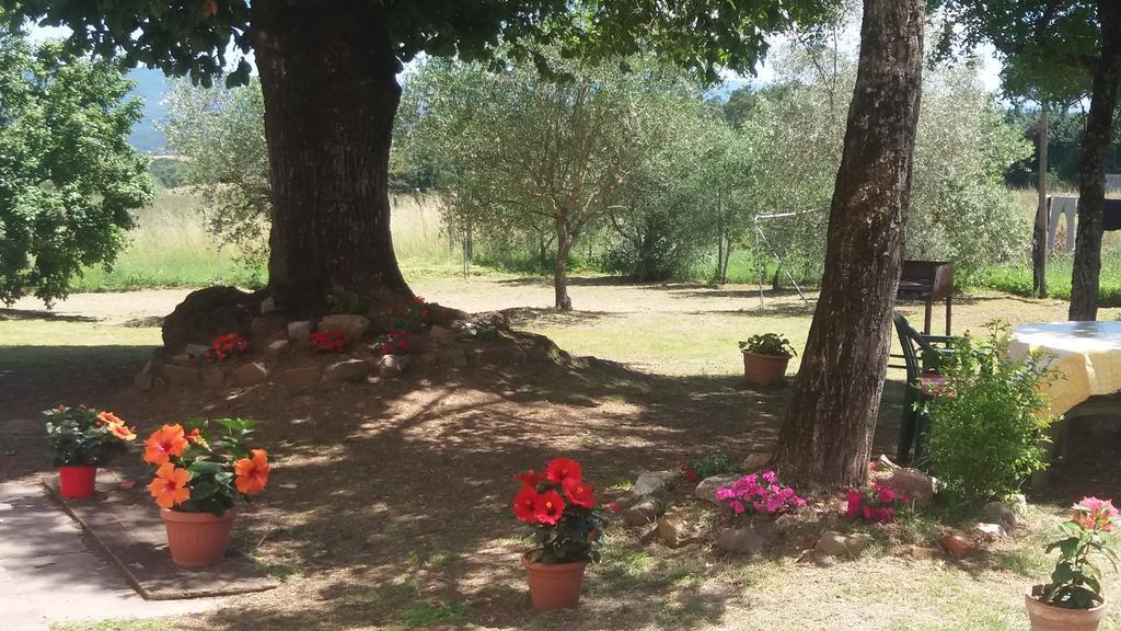 Azzurre Beb Bed & Breakfast Laterina Luaran gambar